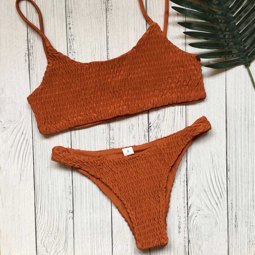 Pleated Triangle Swimsuit Bikini