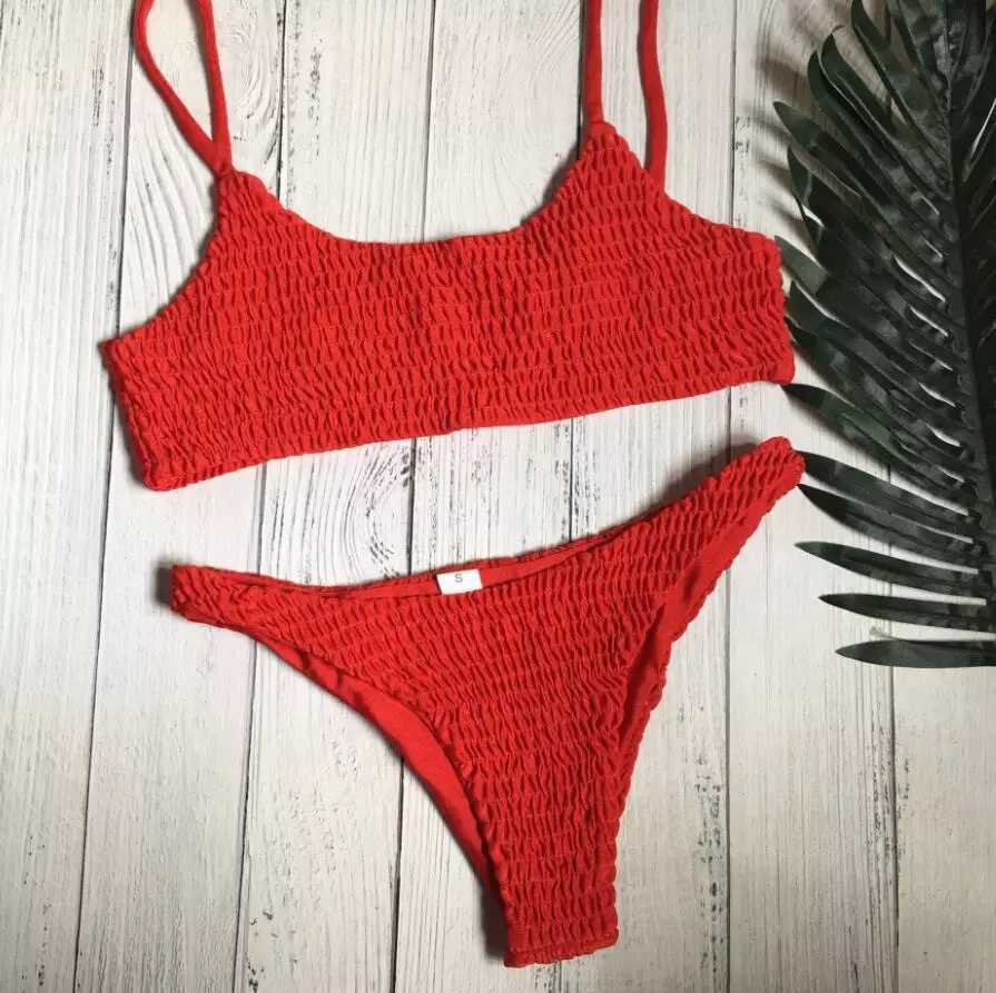 Pleated Triangle Swimsuit Bikini