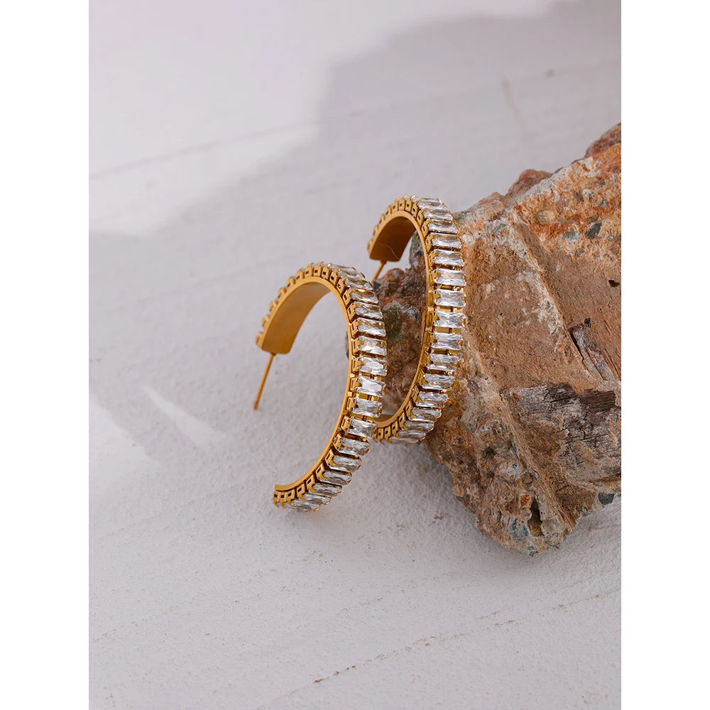 Stainless Steel Cubic Zirconia Earrings