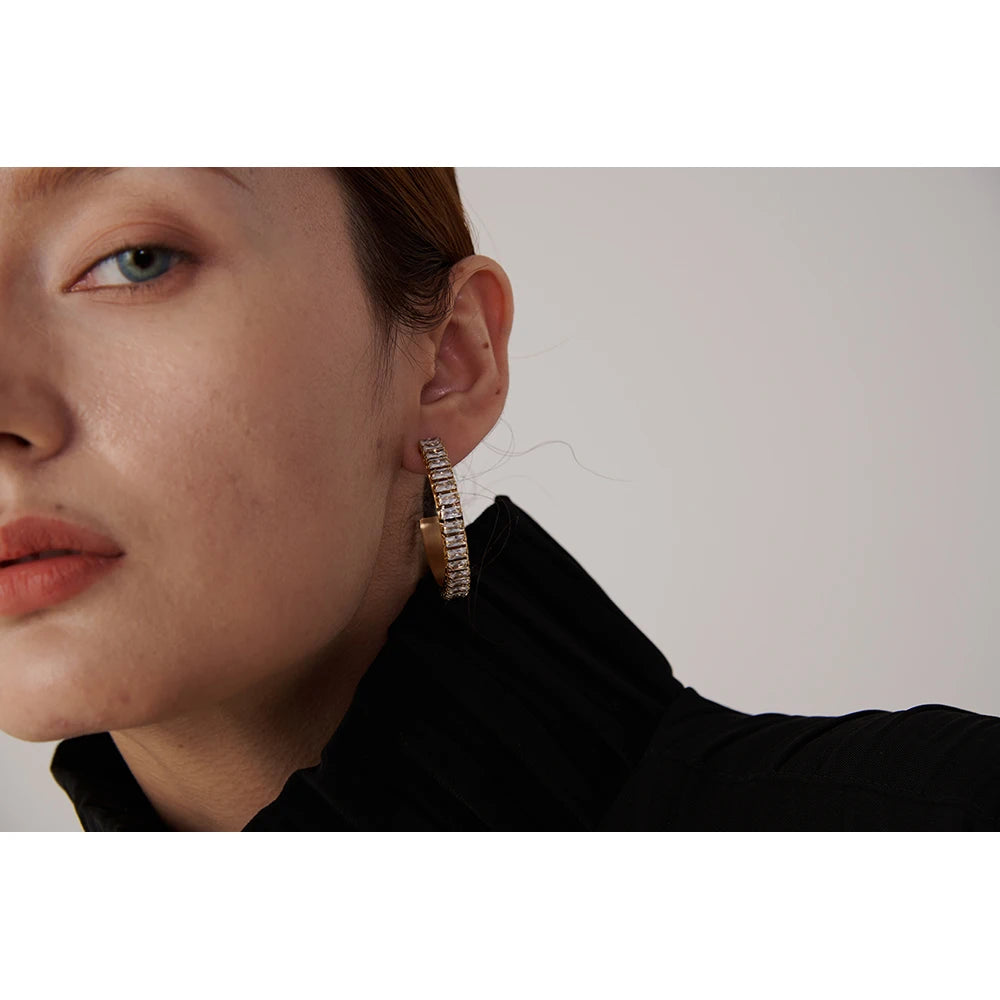 Stainless Steel Cubic Zirconia Earrings